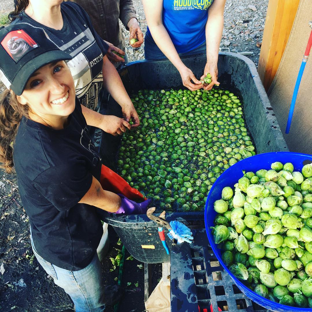 45364187_1979119495486395_1988012345523175424_o