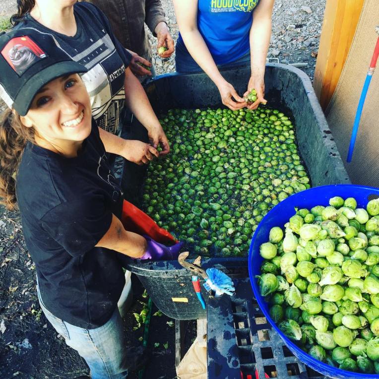 45364187_1979119495486395_1988012345523175424_o