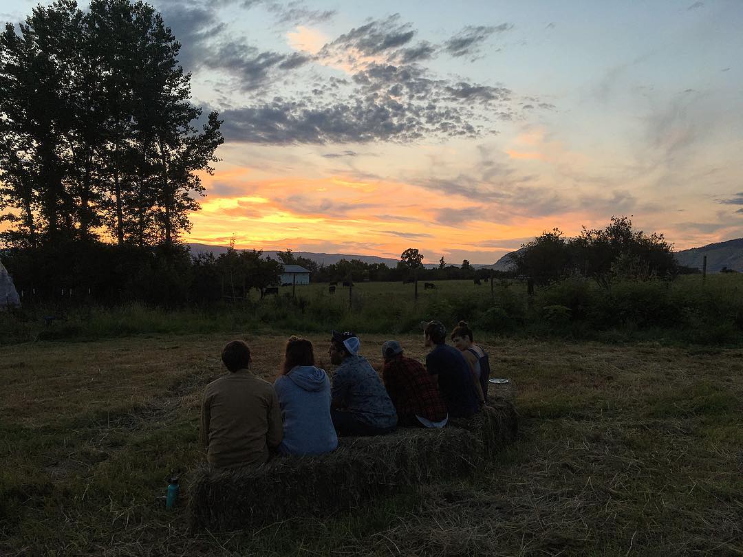 65917190_2292003237557980_8213541160170291200_o