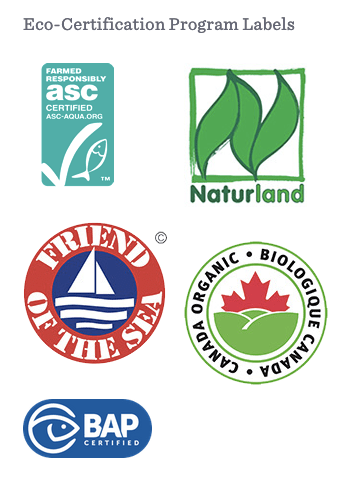 Screen Shot 2020-01-13 at 8.59.13 AM