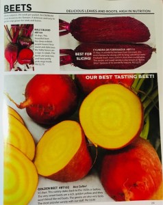 UNADJUSTEDNONRAW_thumb_4bb