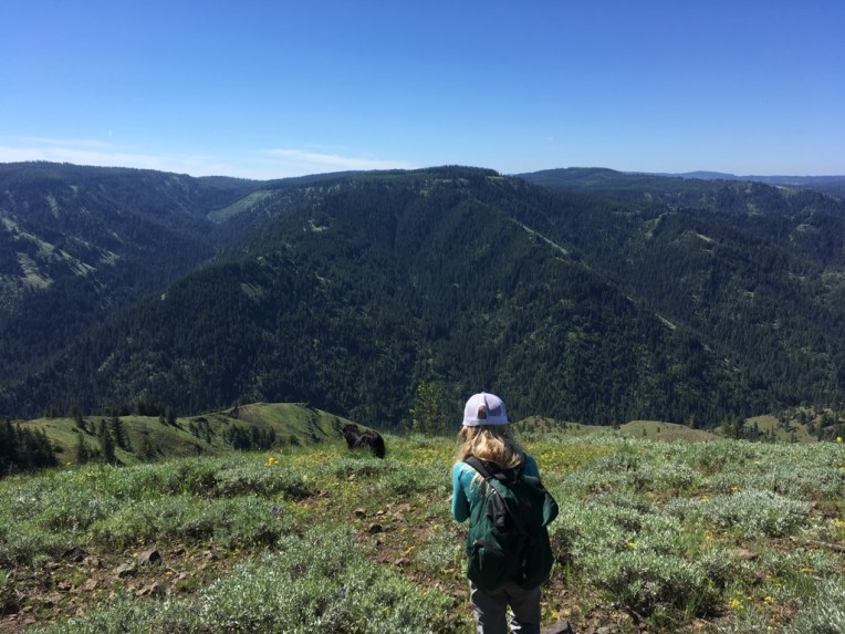 UNADJUSTEDNONRAW_thumb_4d3