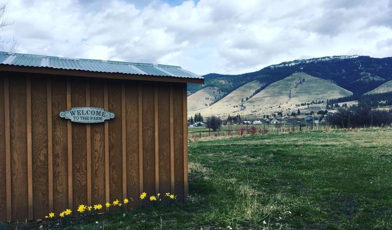 90200044_2860533070678362_4580312957367353344_o