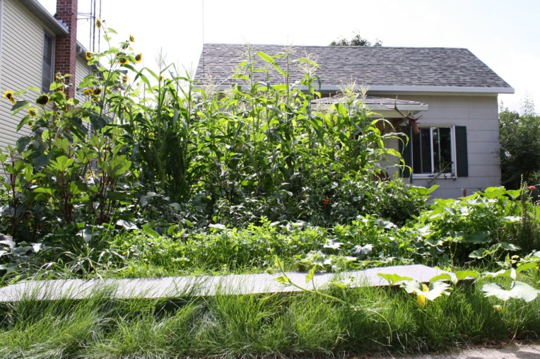 UNADJUSTEDNONRAW_thumb_477