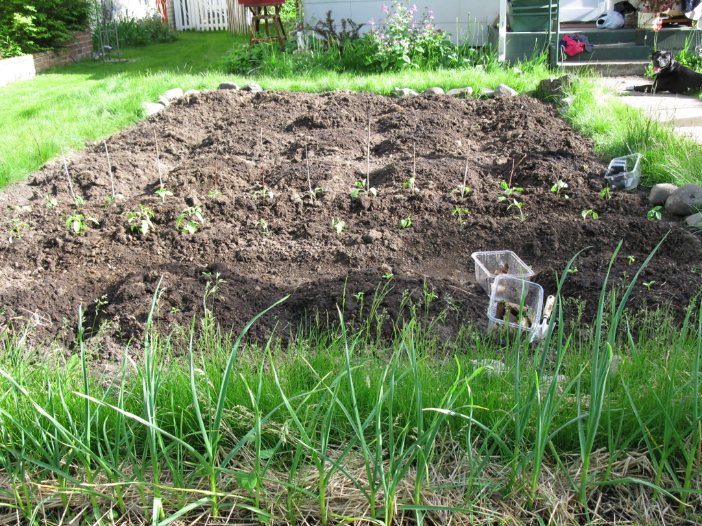 UNADJUSTEDNONRAW_thumb_695